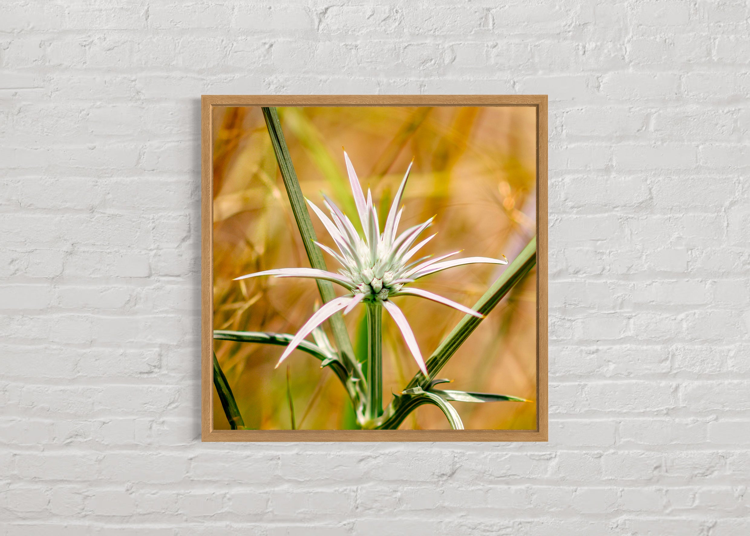 High Summer: Blue Devil Large Square Print