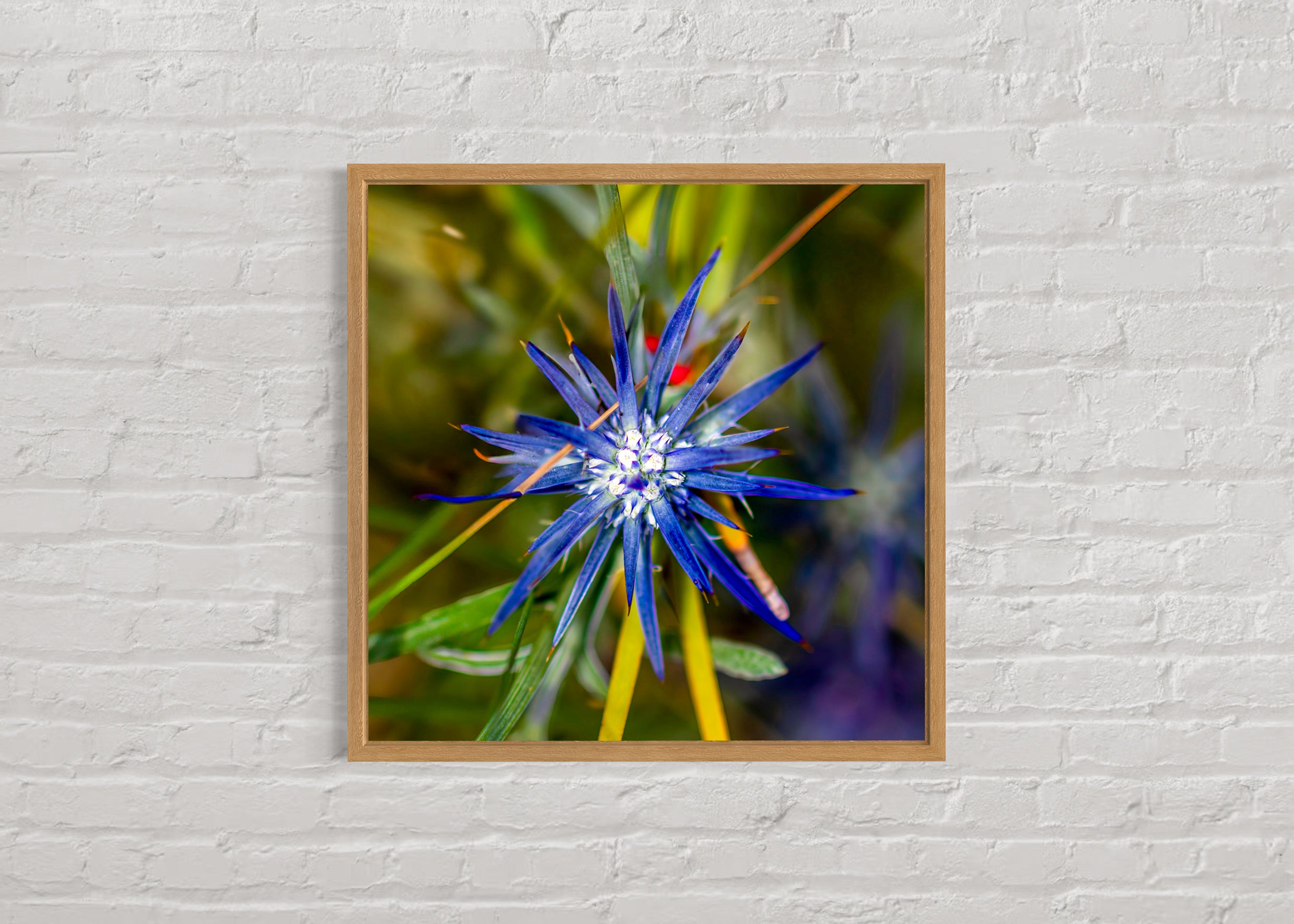 High Summer: Blue Devil Large Square Print