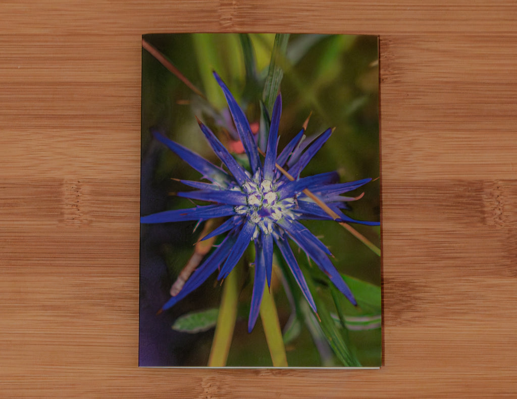 High Summer: Blue Devil Gift Card