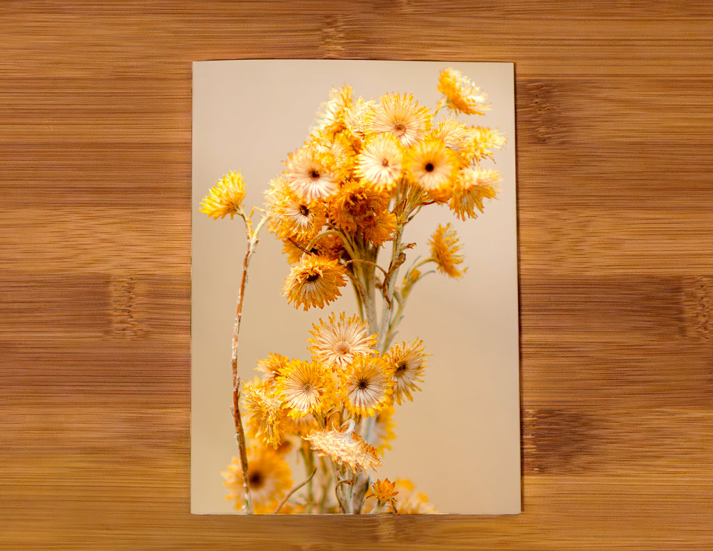 Lost Lands Found Gift Cards - Five Pack