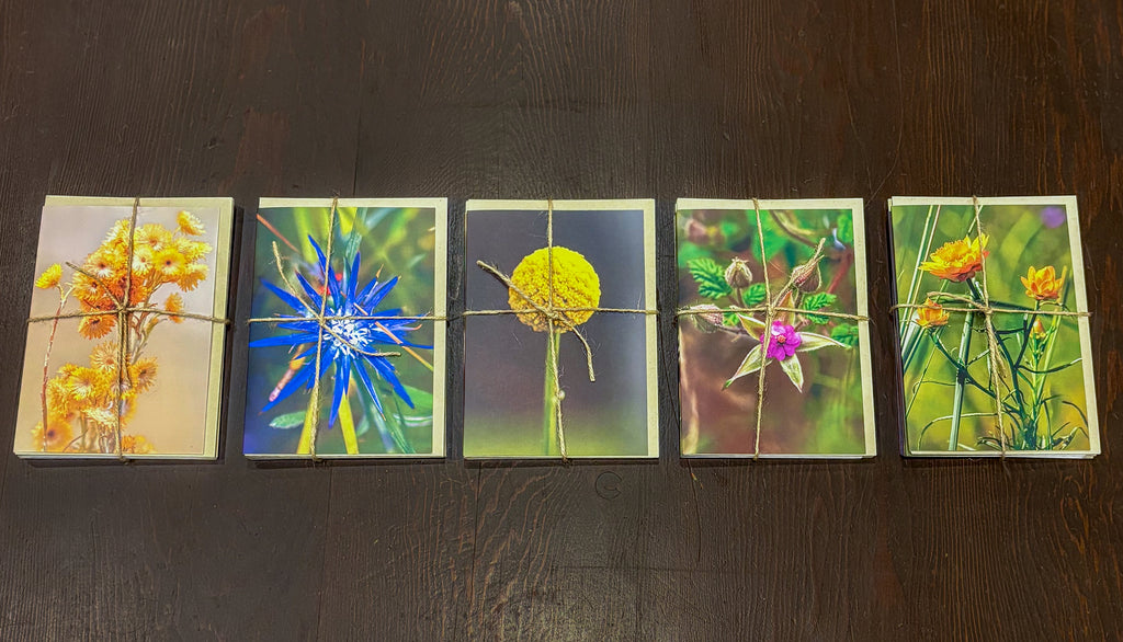 Lost Lands Found Gift Cards - Five Pack