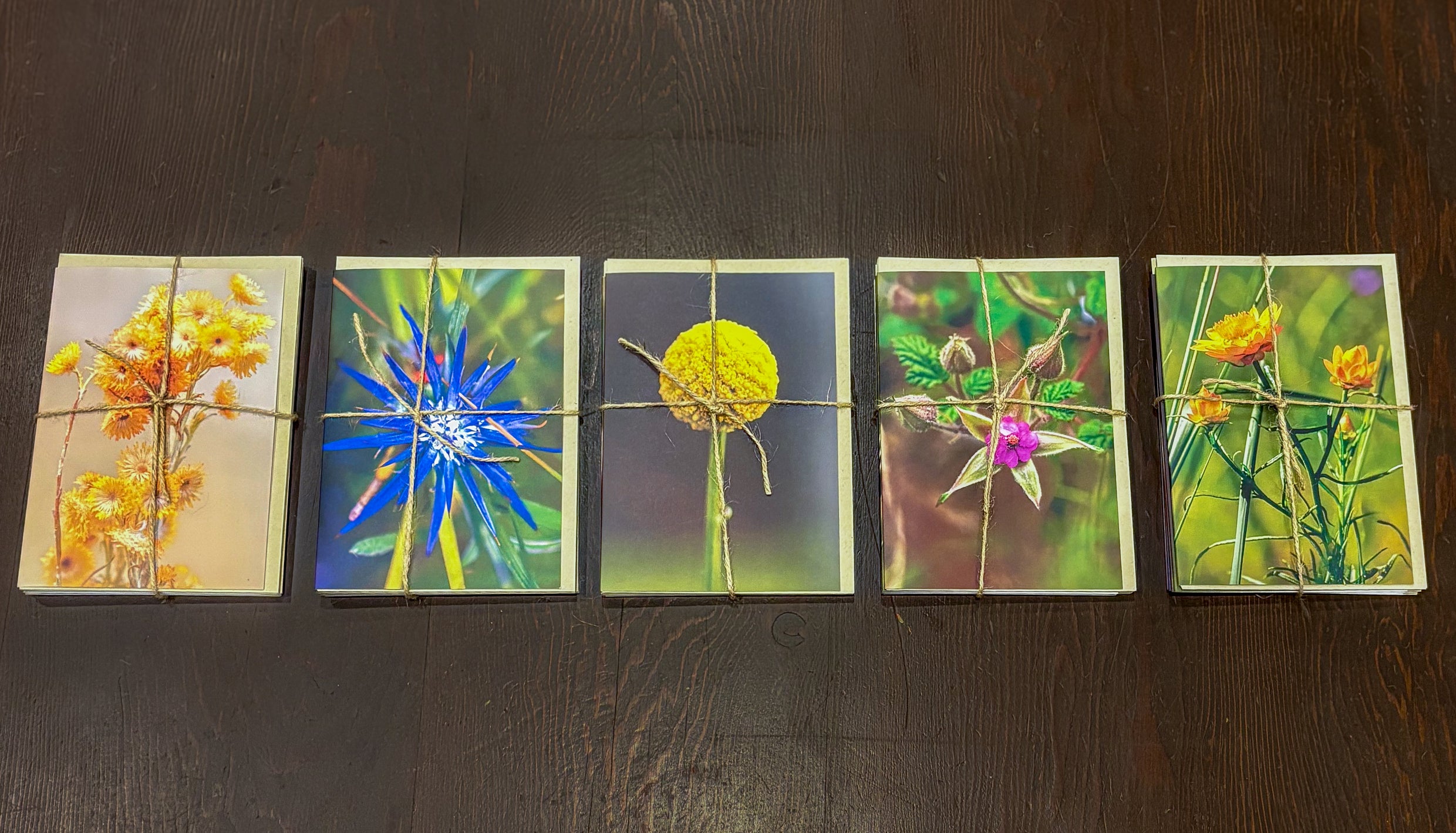 Lost Lands Found Gift Cards - Five Pack