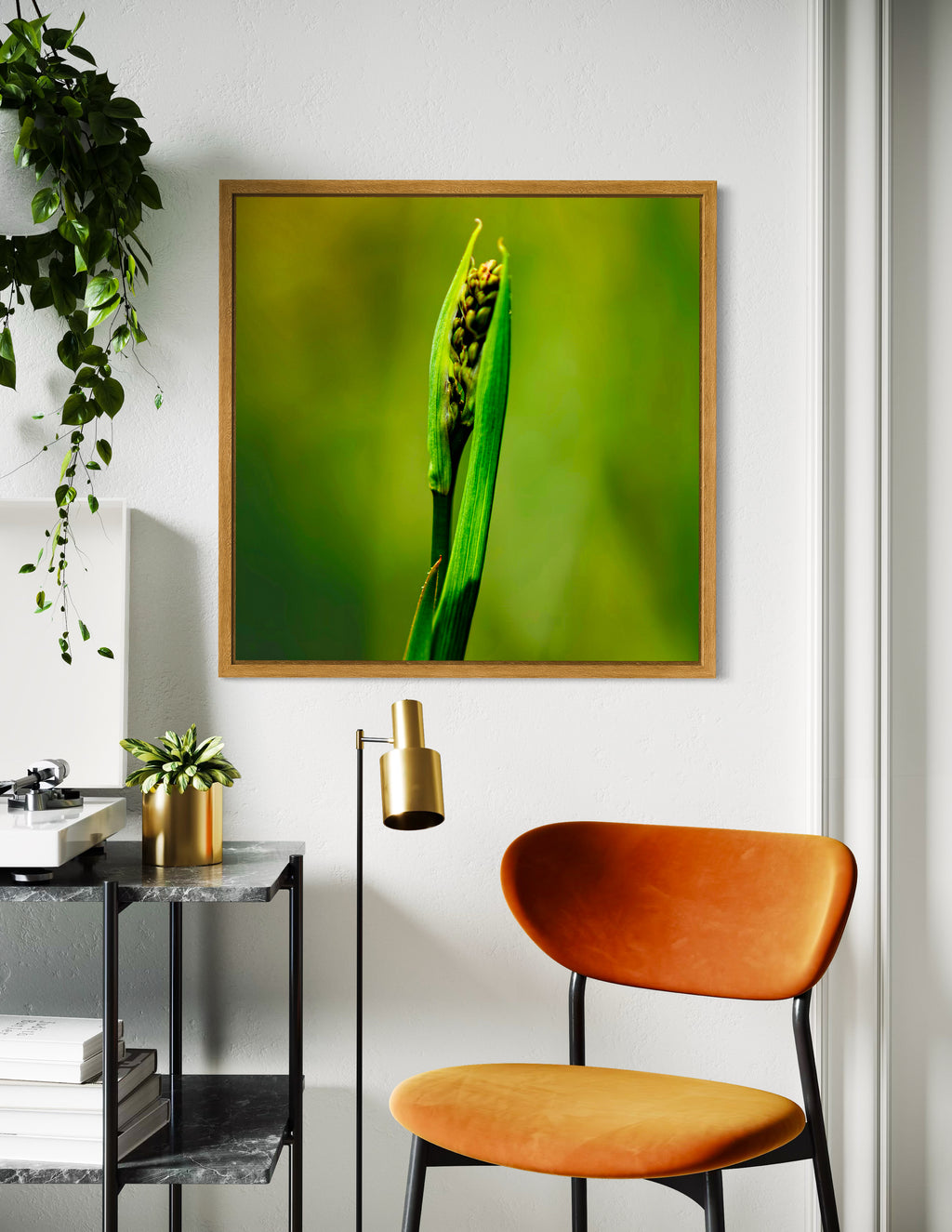 Pre Spring: Dianella Lily Species Large Square Print