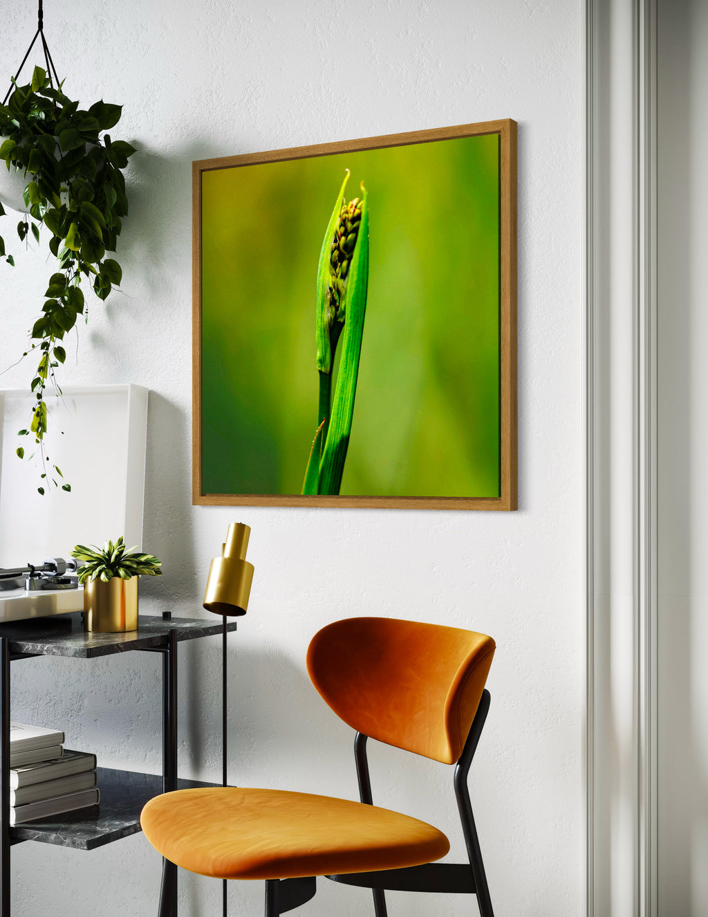 Pre Spring: Dianella Lily Species Large Square Print