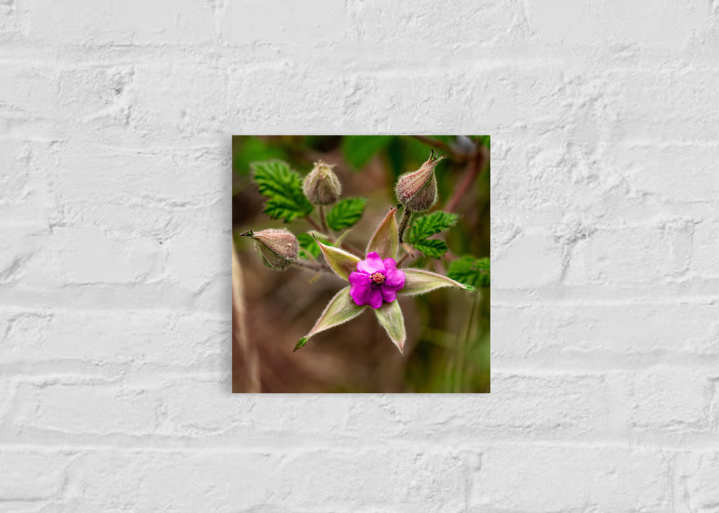 True Spring: Native Bramble Small Square Print