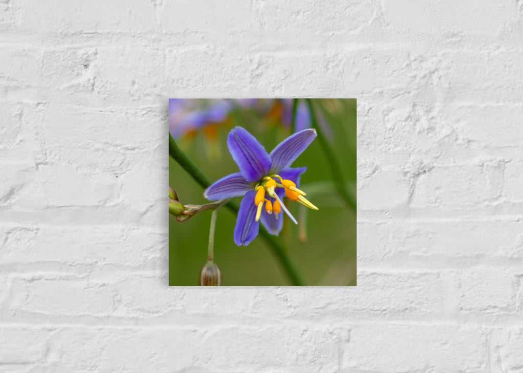 True Spring: Blueberry Lily Small Square Print