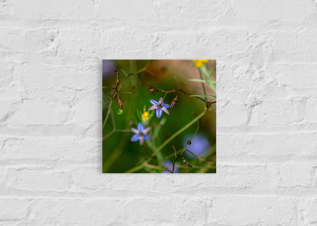 True Spring: Blueberry Lily Small Square Print