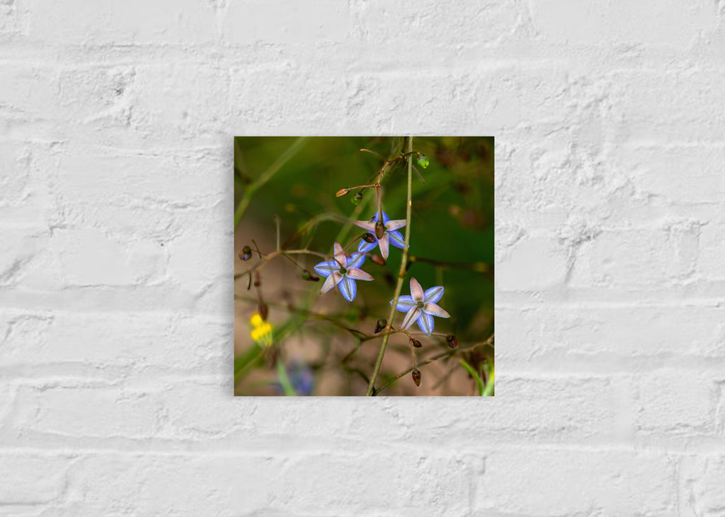 True Spring: Blueberry Lily Small Square Print
