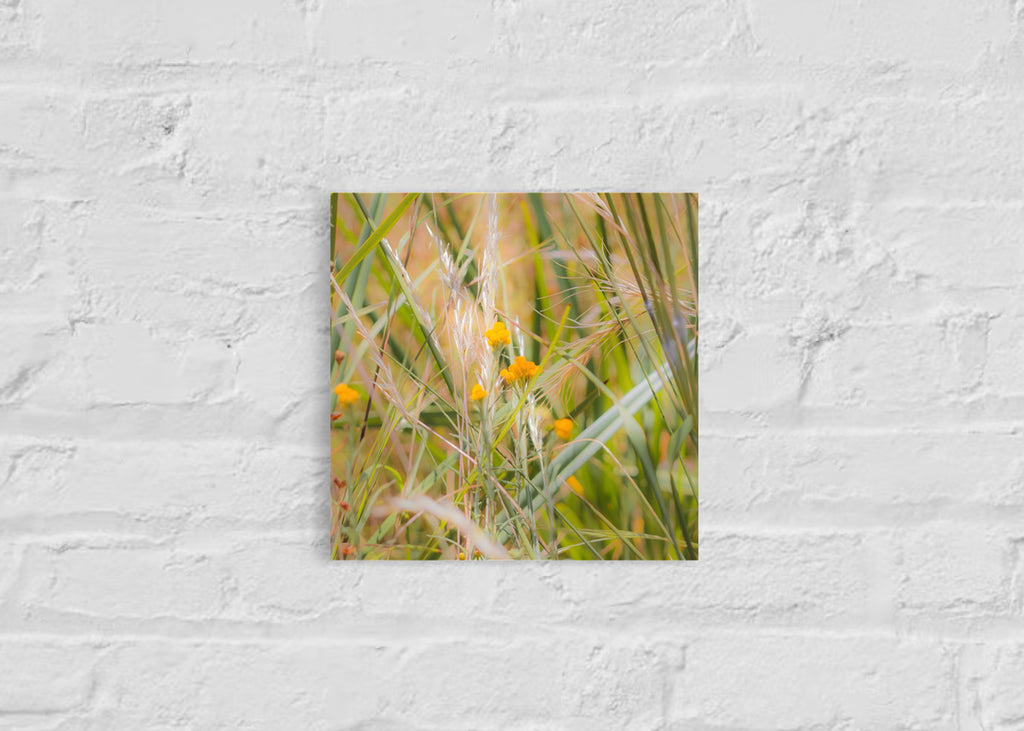 High Summer: Clustered Everlasting Small Square Print