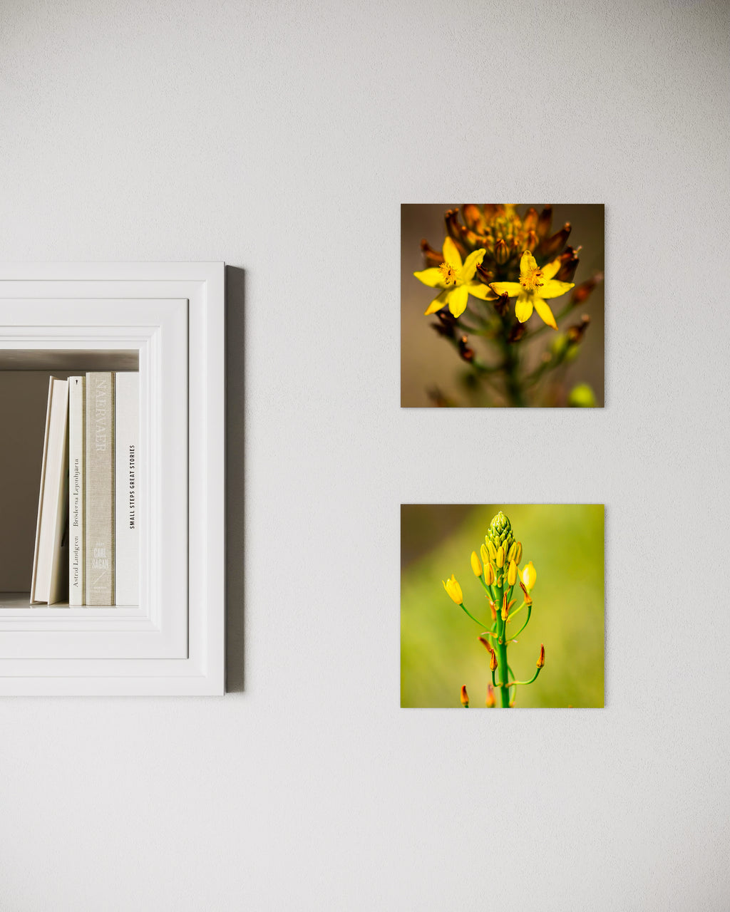 True Spring: Golden Lily Small Square Print