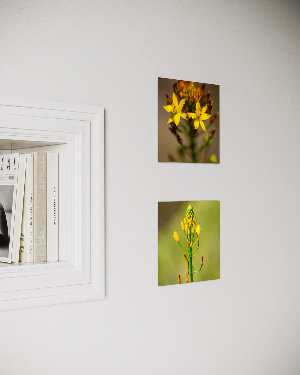 True Spring: Golden Lily Small Square Print