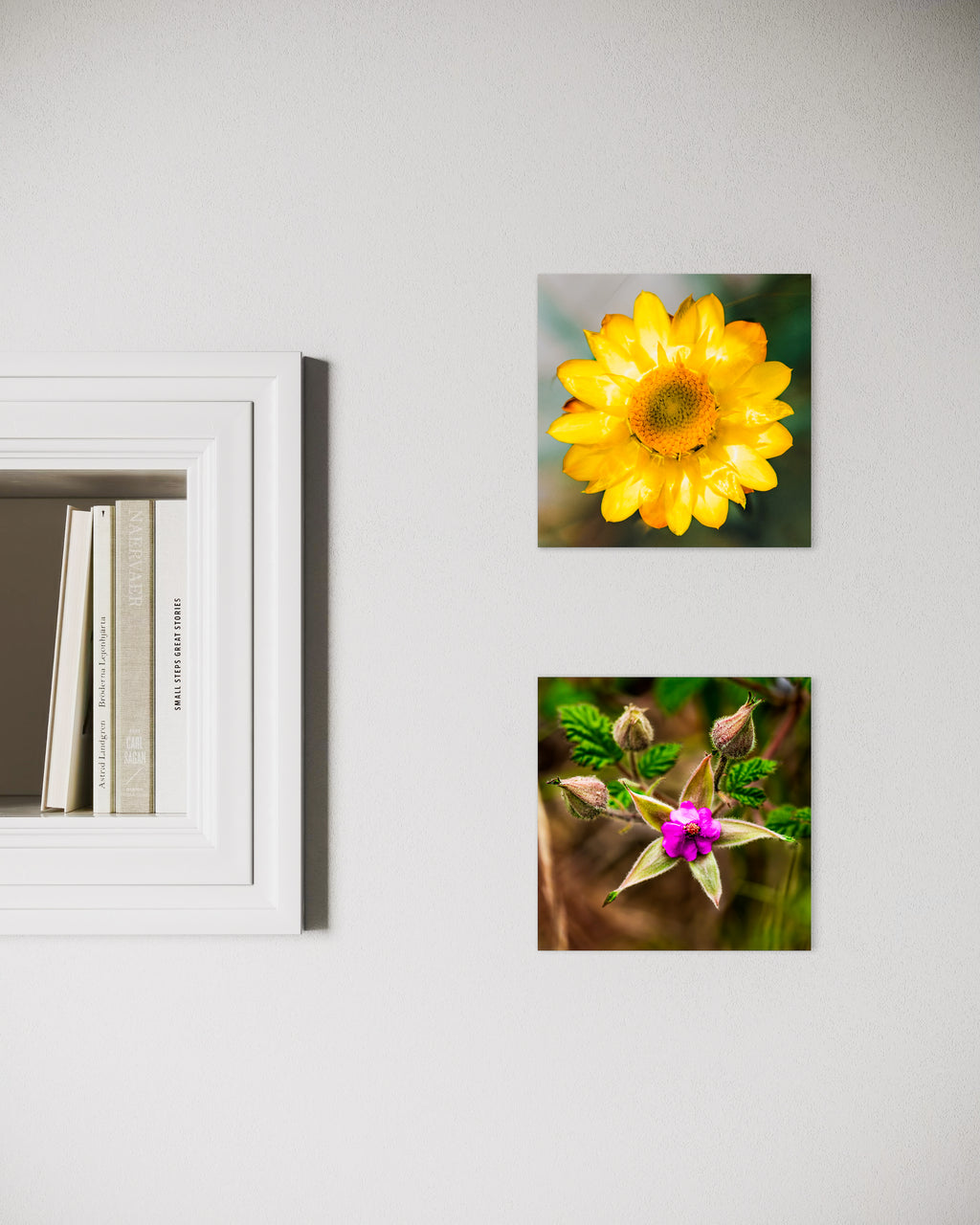 High Summer: Sticky Everlasting Small Square Print