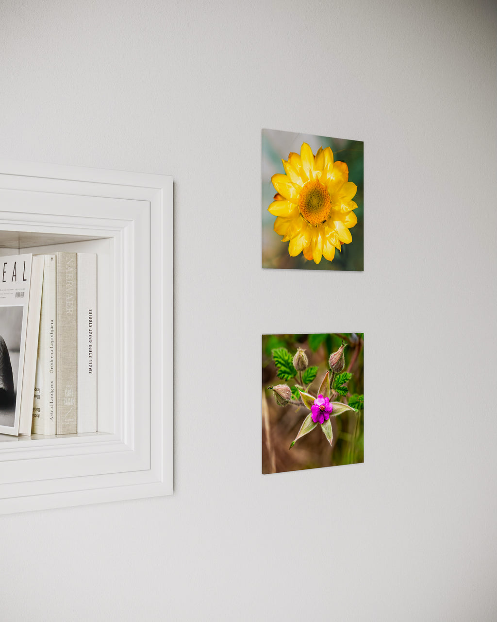 High Summer: Sticky Everlasting Small Square Print