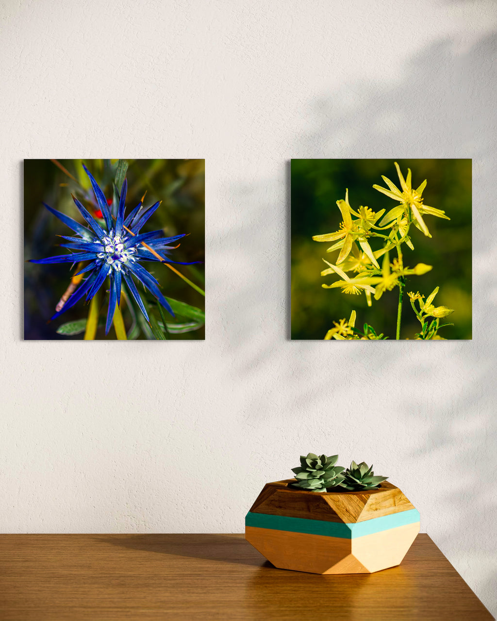 High Summer: Blue Devil Small Square Print