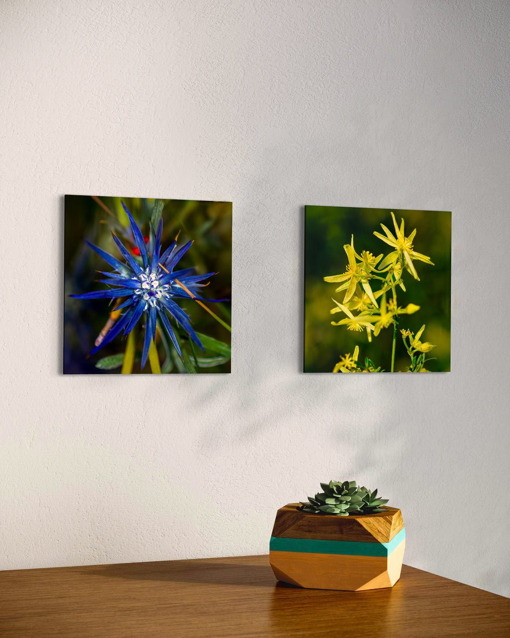 High Summer: Blue Devil Small Square Print