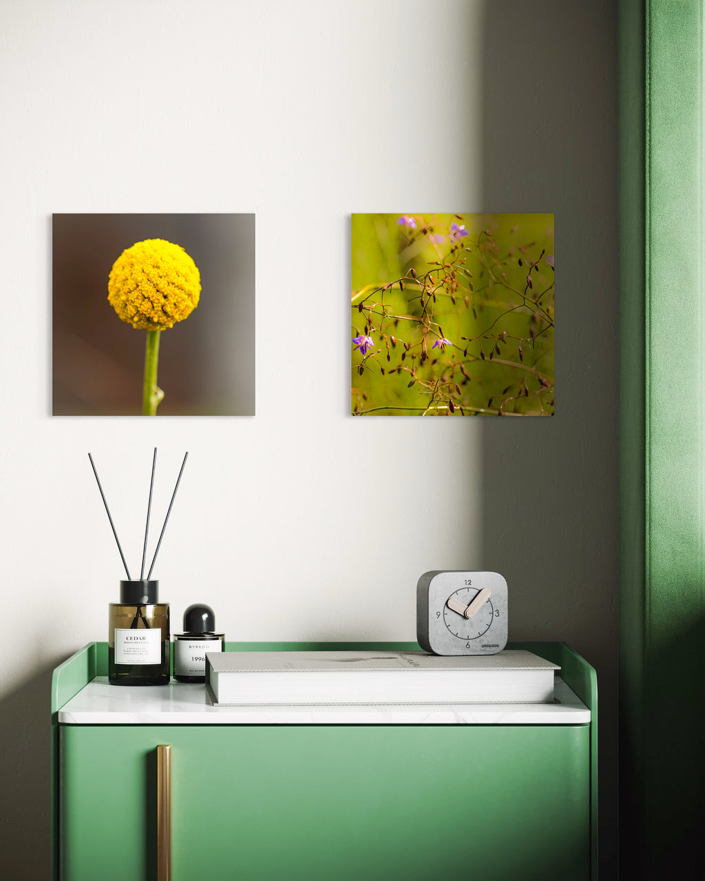 True Spring: Common Billy Button Small Square Print