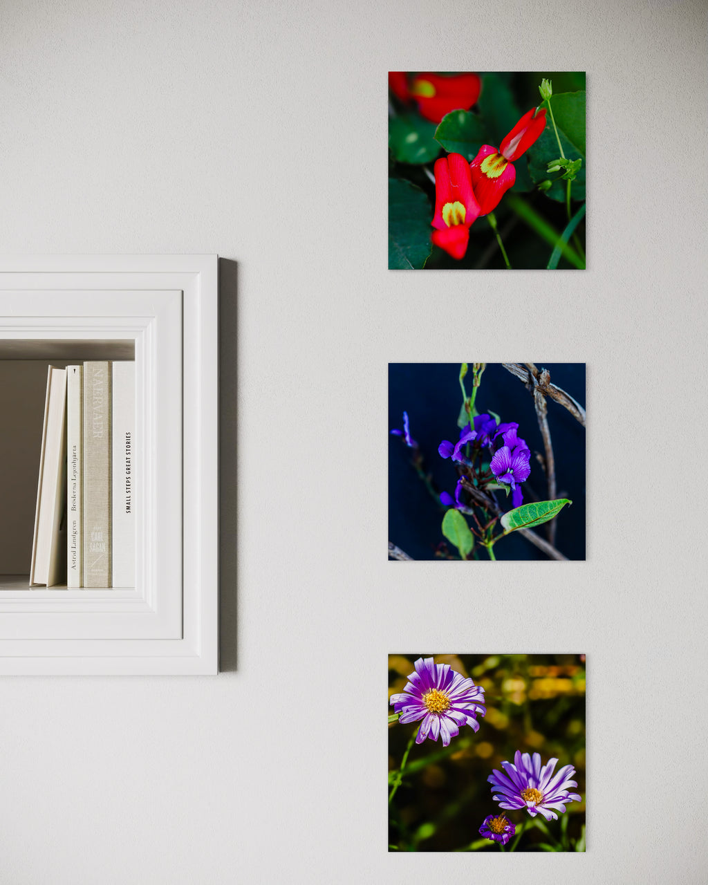 True Spring: Cut Leaf Daisies Small Square Print