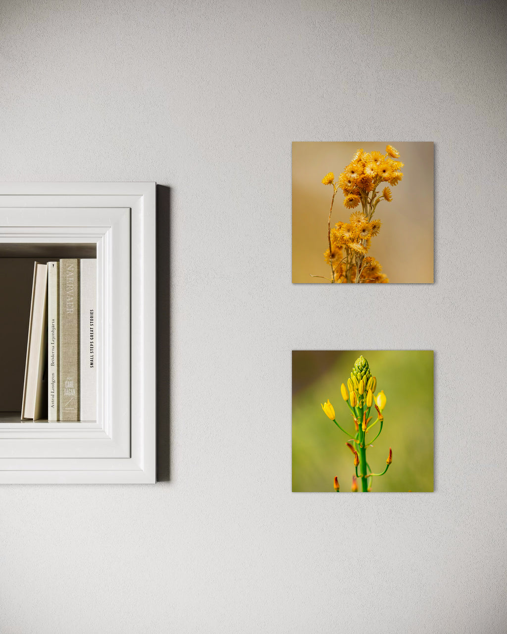 Late Summer: Clustered Everlasting Small Square Print