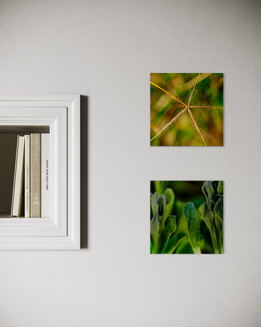 Pre Spring: Australian Windmill Grass Small Square Print