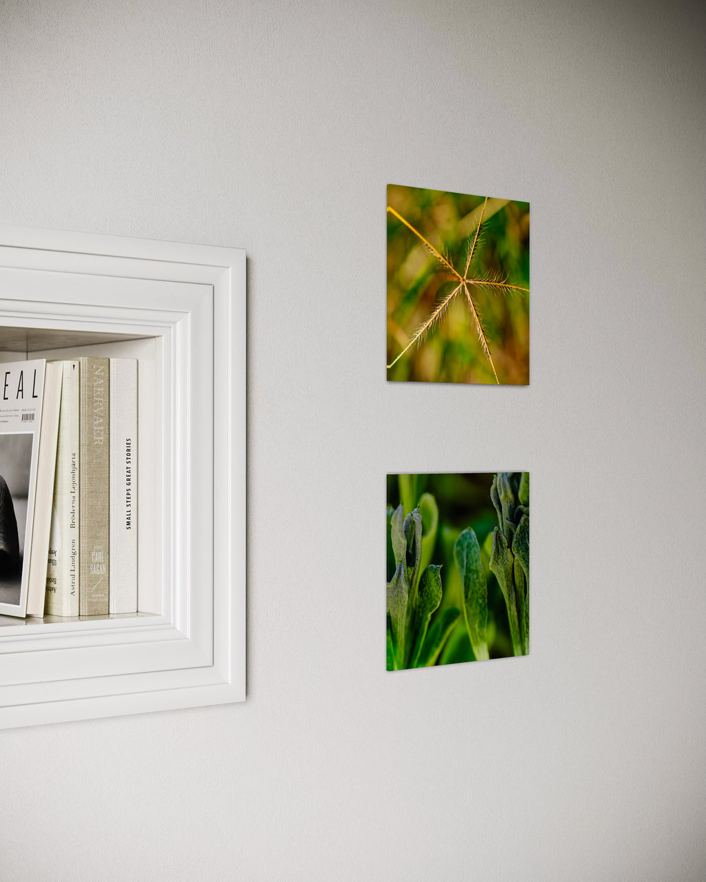 Pre Spring: Australian Windmill Grass Small Square Print