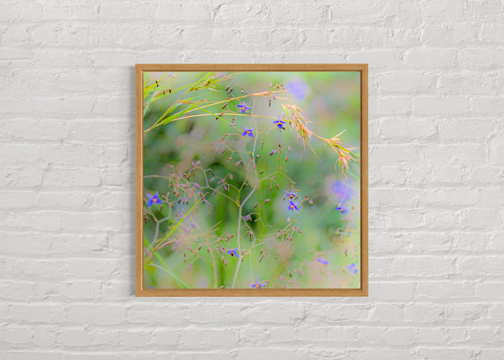 True Spring: Blueberry Lily Large Square Print