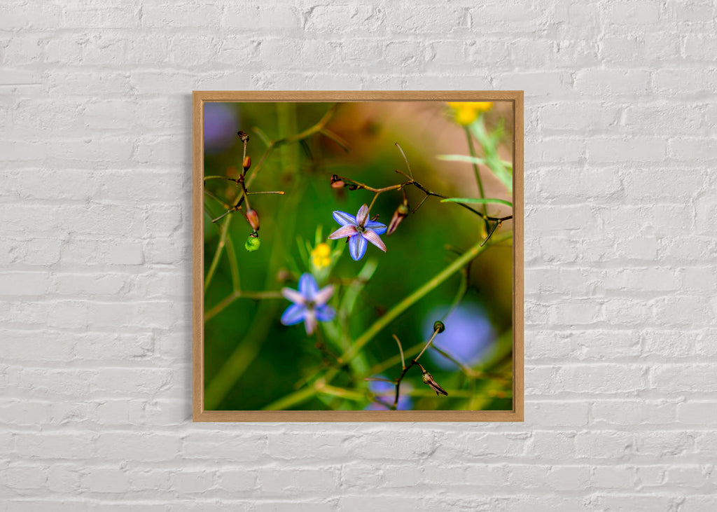 True Spring: Blueberry Lily Large Square Print
