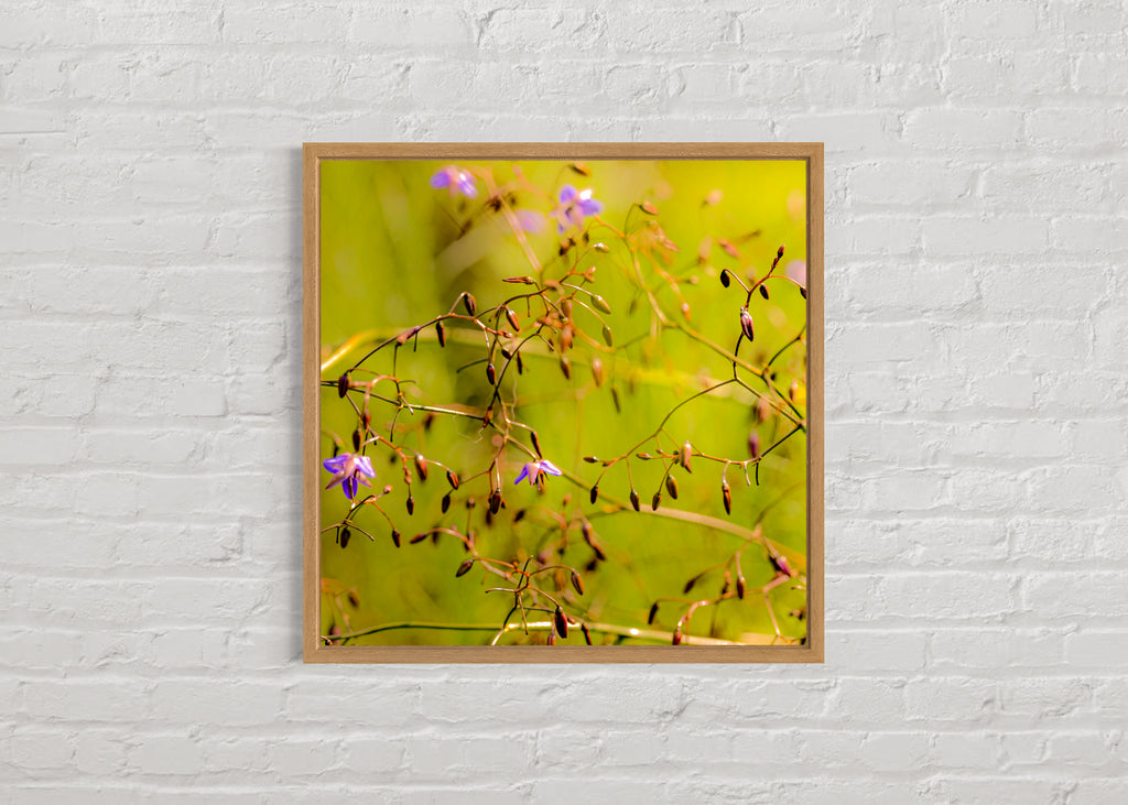 True Spring: Blueberry Lily Large Square Print