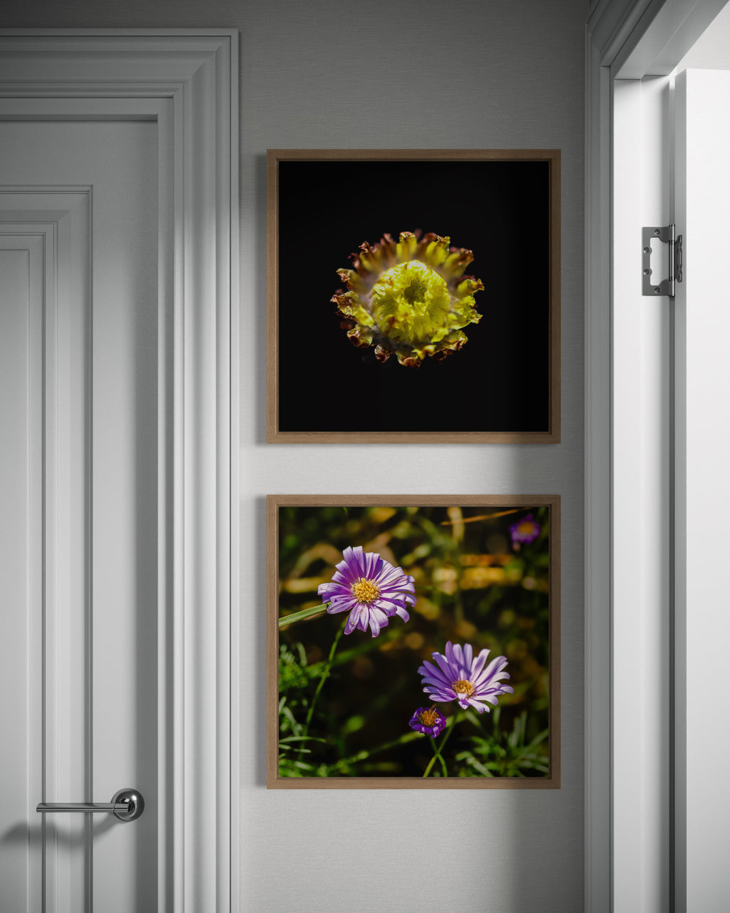 True Spring: Button Everlasting Medium Square Print