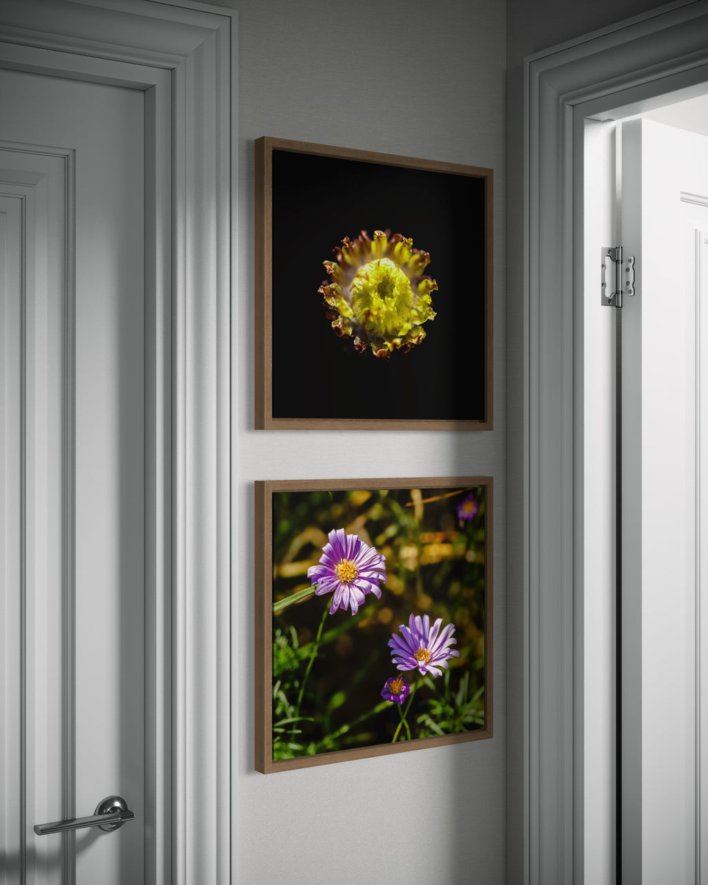 True Spring: Button Everlasting Medium Square Print