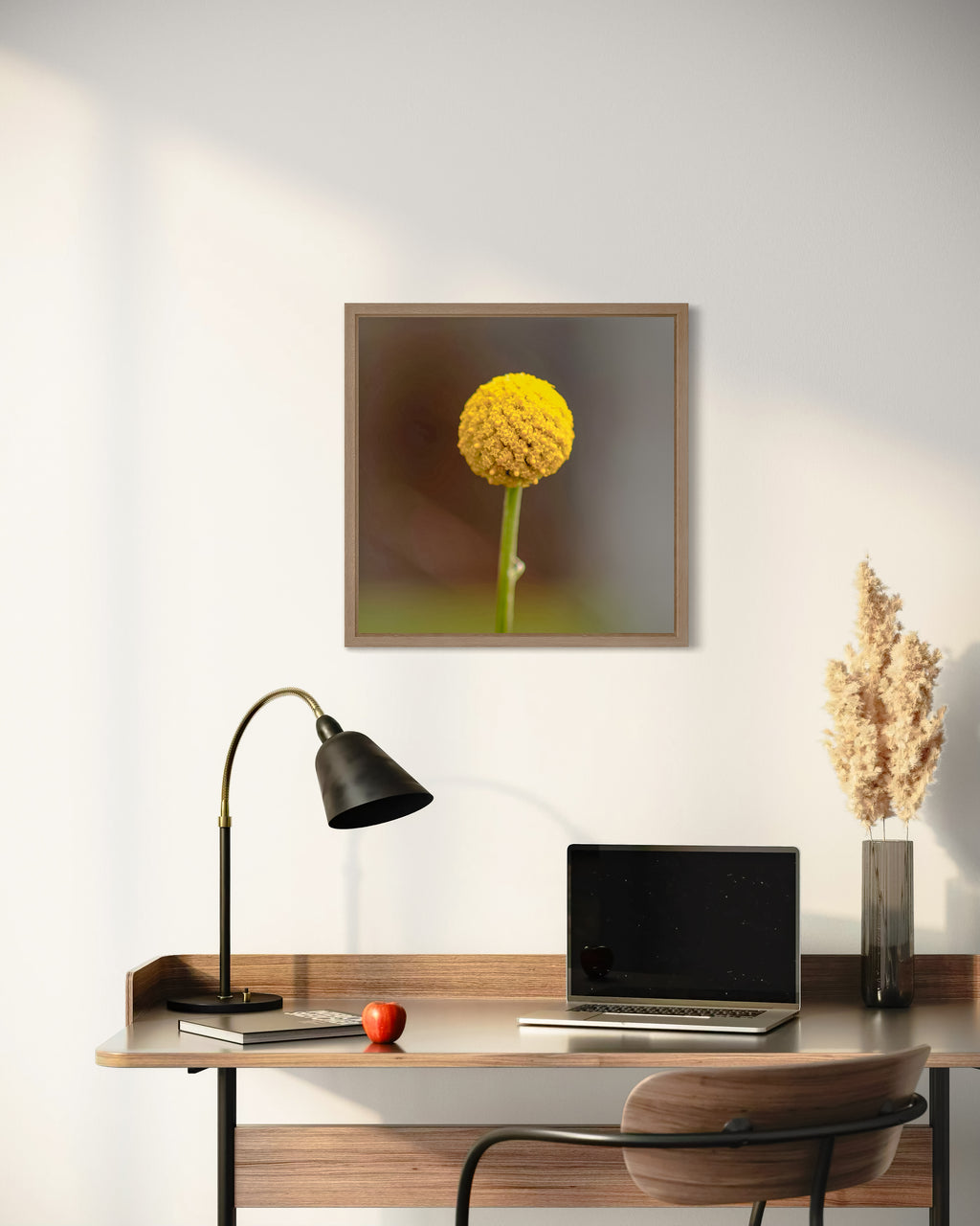 True Spring: Common Billy Button Medium Square Print