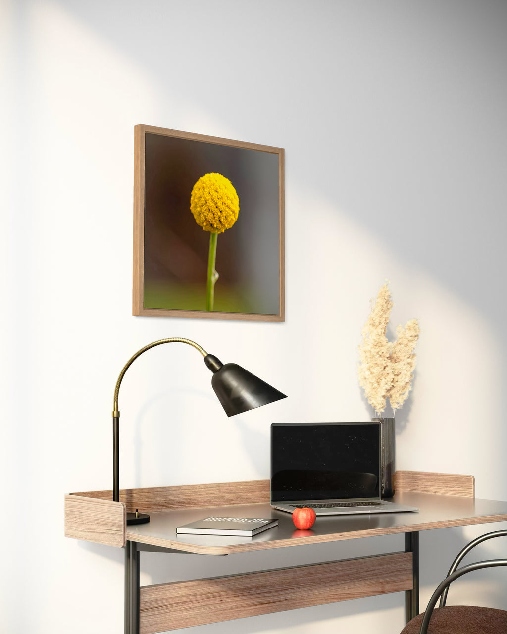 True Spring: Common Billy Button Medium Square Print