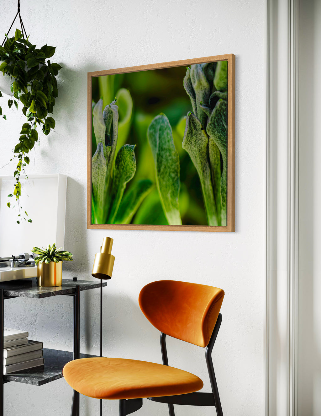 True Spring: Common Everlasting Broad Leaf Large Square Print