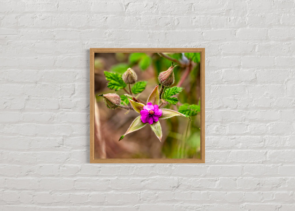 True Spring: Native Bramble Medium Square Print