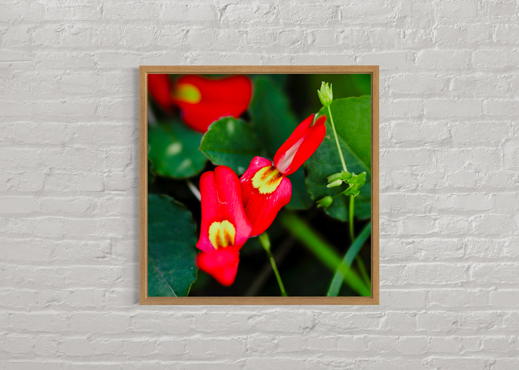 True Spring: Running Postman Large Square Print