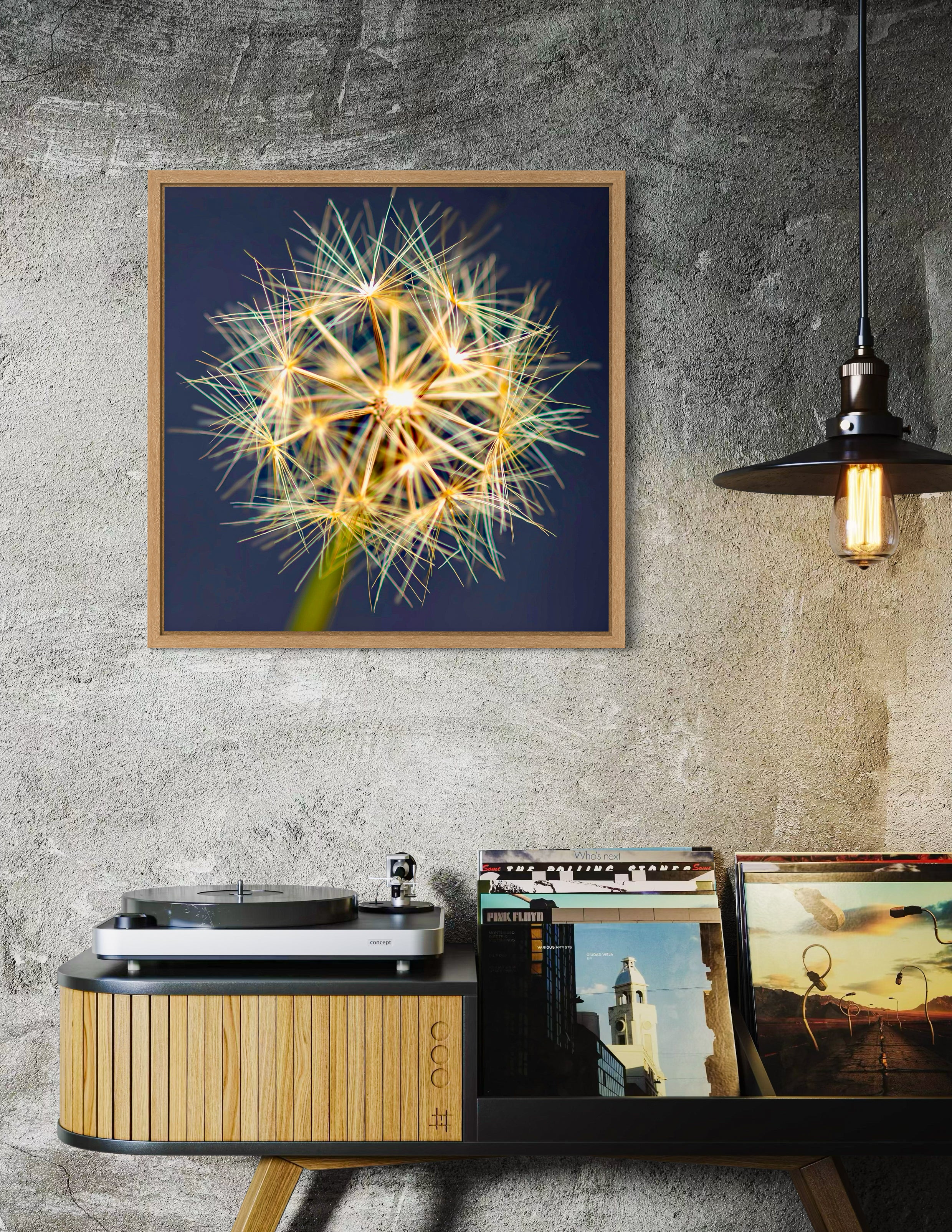 True Spring: Yam Daisy