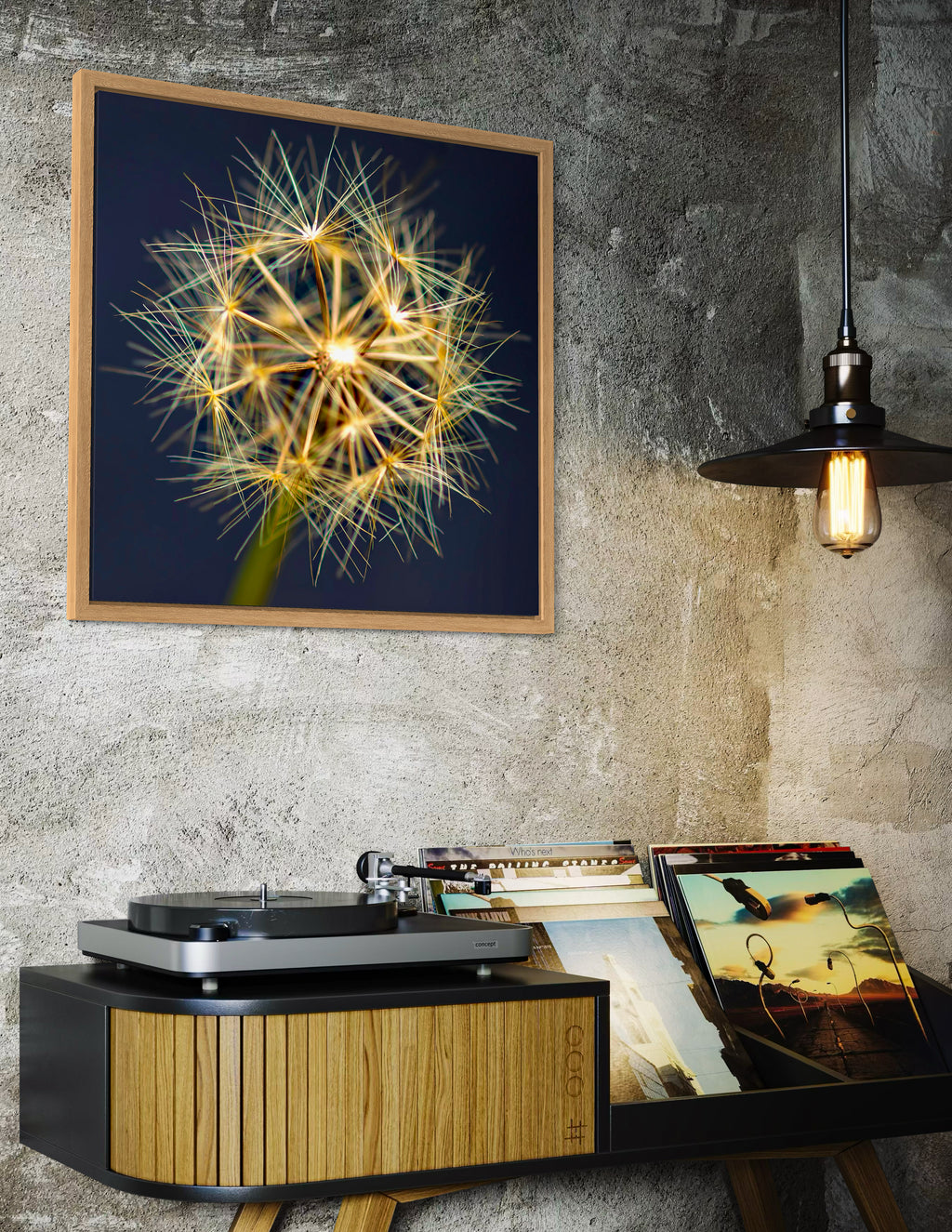 True Spring: Yam Daisy